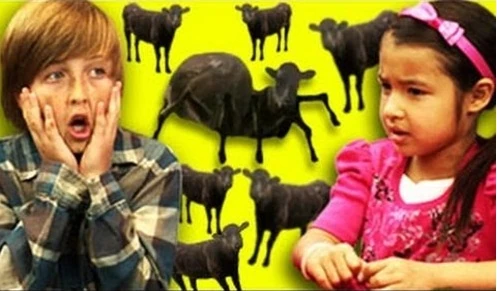 Troy | Kids React Wiki | Fandom