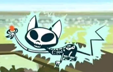 Possible kat skeleton