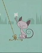 Señor Gato y la cuerda