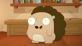 TREVOR