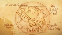 The Vitruvian Man-style drawing.