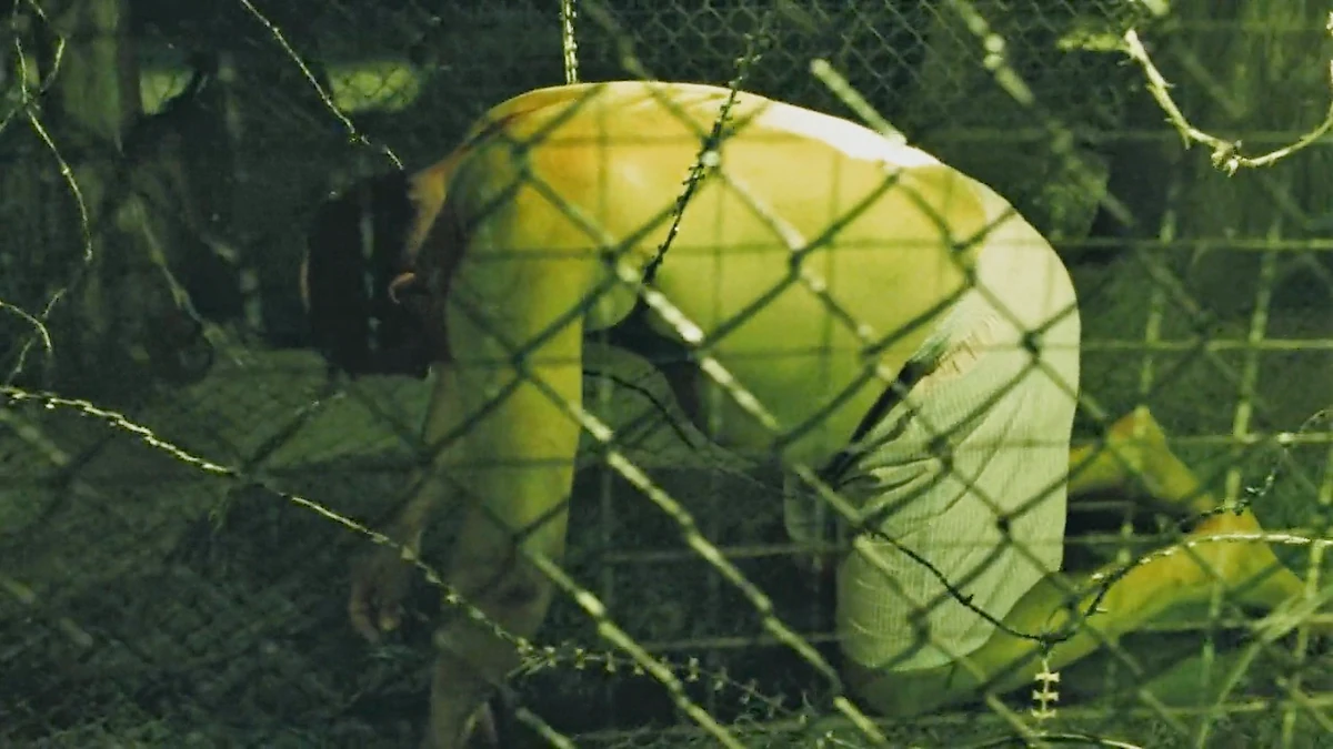 Saw Kill Count Kill Count Wiki Fandom