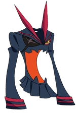 The Kamui Senketsu.