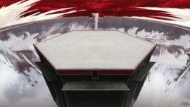 The stage where the runoff took place.