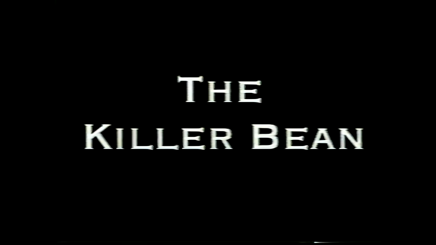 Killer Bean Forever - Wikipedia