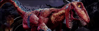 17 riptor