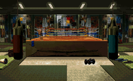 KillerInstinct-BoxingGym zpse8d138d5