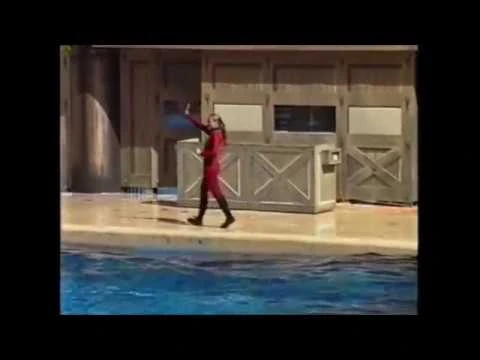 Shamu_Show_Seaworld_November_16th_1997_-_Hosted_by_Dawn_Brancheau