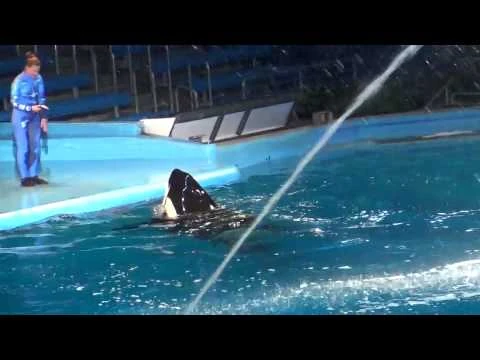 Takara_&_Kamea_-_One_Ocean_Frolic_(March_2014)