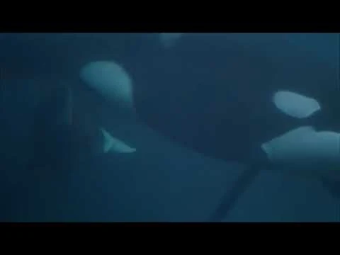 Bjossa_Giving_Birth_(1995)