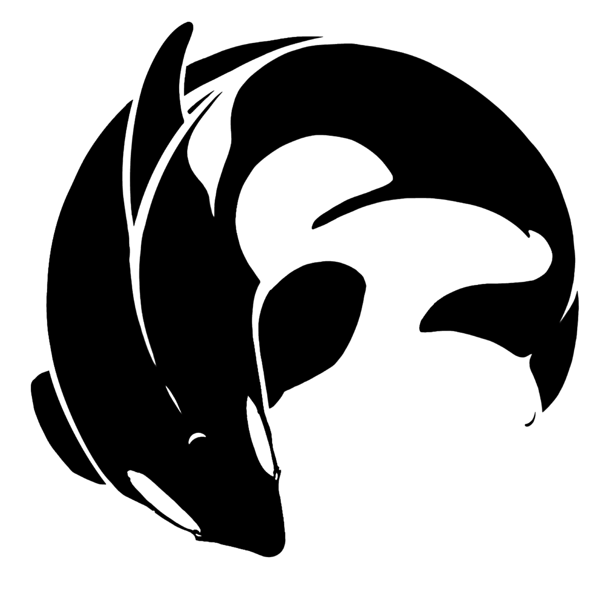 J62 | Killer Whale Wiki | Fandom J62 | Killer Whale Wiki | Fandom