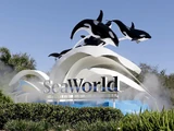 SeaWorld Orlando