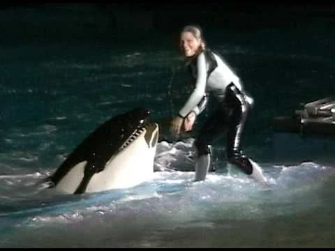 Takara_-_Shamu_Rocks_America_(November_2004)