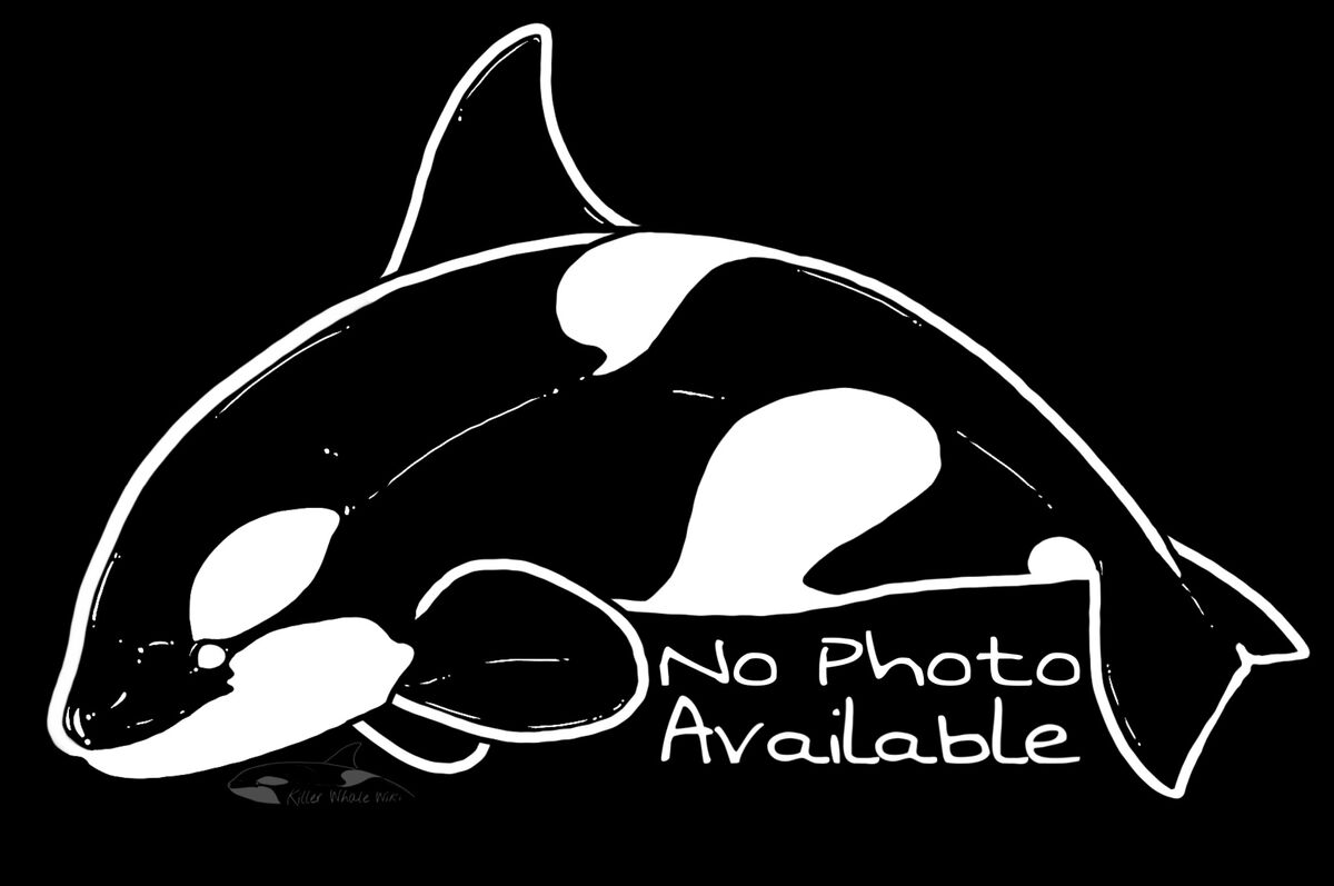 NAW-OO-C7902 | Killer Whale Wiki | Fandom NAW-OO-C7902 | Killer Whale Wiki | Fandom