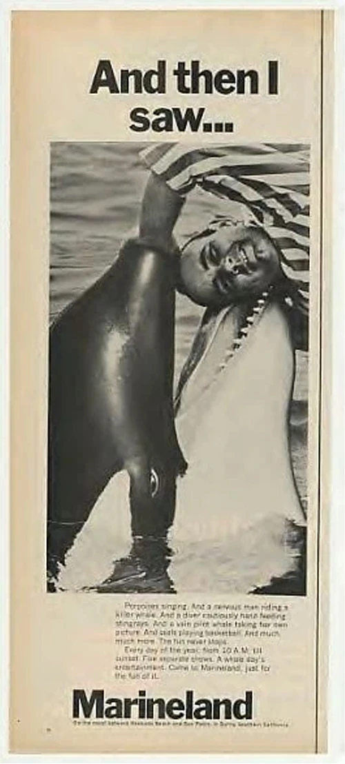 Photos of Corky Killer Whale Wiki Fandom