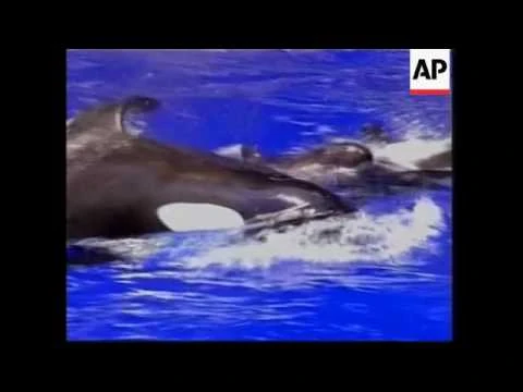 Katina_Giving_Birth_to_Ikaika