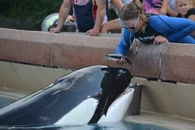 Kiska. Photo provided by Sloan