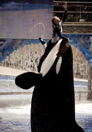 Kalina. Photo provided by Sara Farrell.