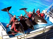 Sumar, Keet, and Keto. Photo provided by Sara Farrell.