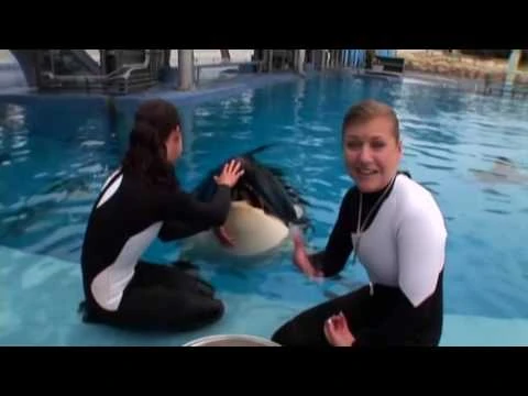 Behind_The_Scenes_of_Believe