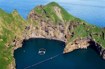 Klettsvík Bay Sea Pen | Killer Whale Wiki | Fandom