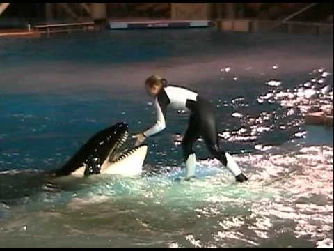 Takara_(with_Dawn)_-_Shamu_Rocks_America_(November_2004)