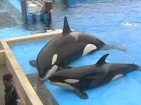 Takara,_Kohana,_and_Nakai