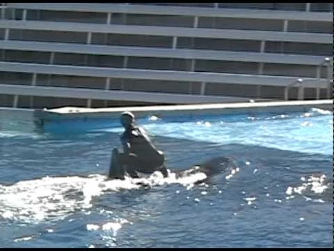 Takara_-_Slideout_(2003)