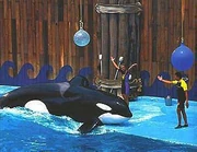 Keiko at Reino Aventura. Photo provided by Ana Sainz.