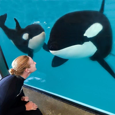 Kamea and Takara at SeaWorld San Antonio. Photo provided by HaH.
