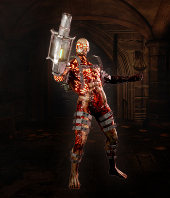 Kf2 husk