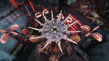 Kf2 clotmother 02