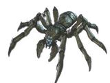 Helghan Spider
