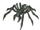 Helghan Spider