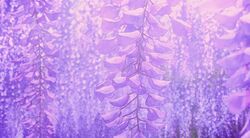 Tanjiro Purple Wisteria Flowers GIF