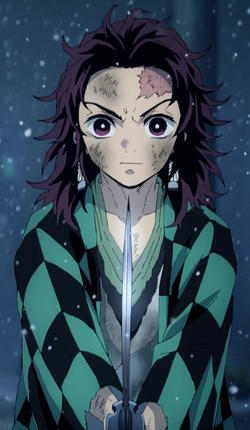 Tanjiro Kamado, Kimetsu no Yaiba Reishoki Wiki