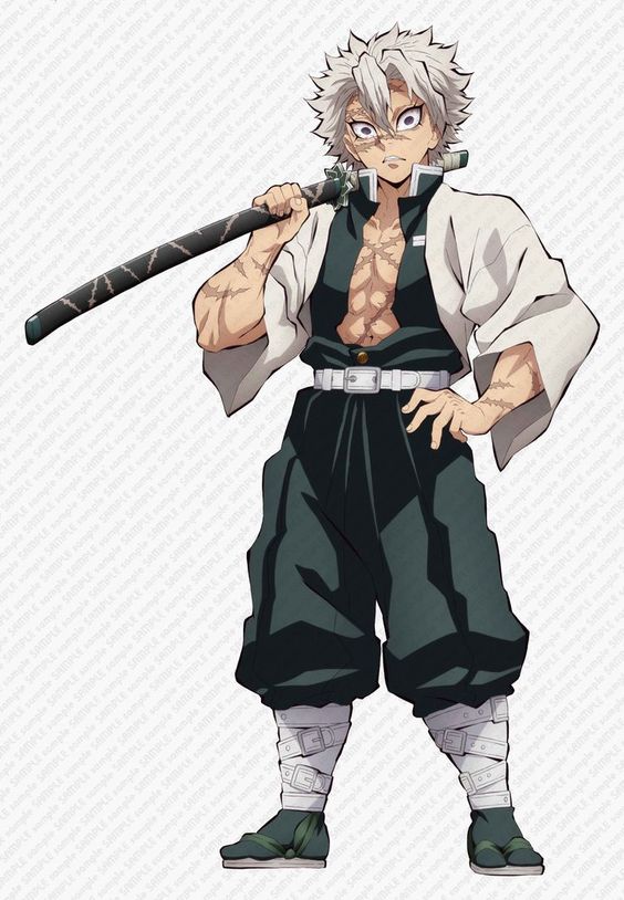 Sanemi Shinazugawa Kimetsu no Yaiba Narratives Wiki Fandom