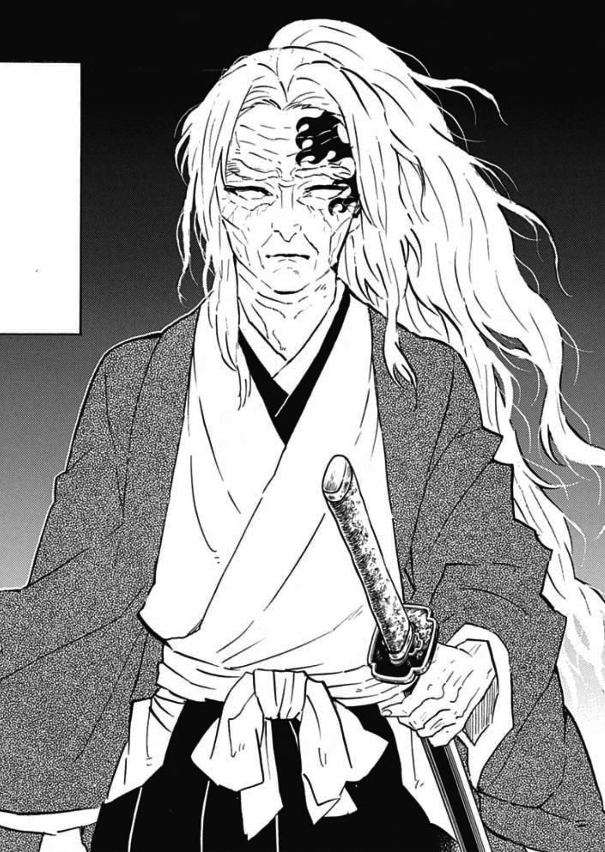 Tsugikuni Yoriichi | Wiki Kimetsu No Yaiba Vietnam | Fandom