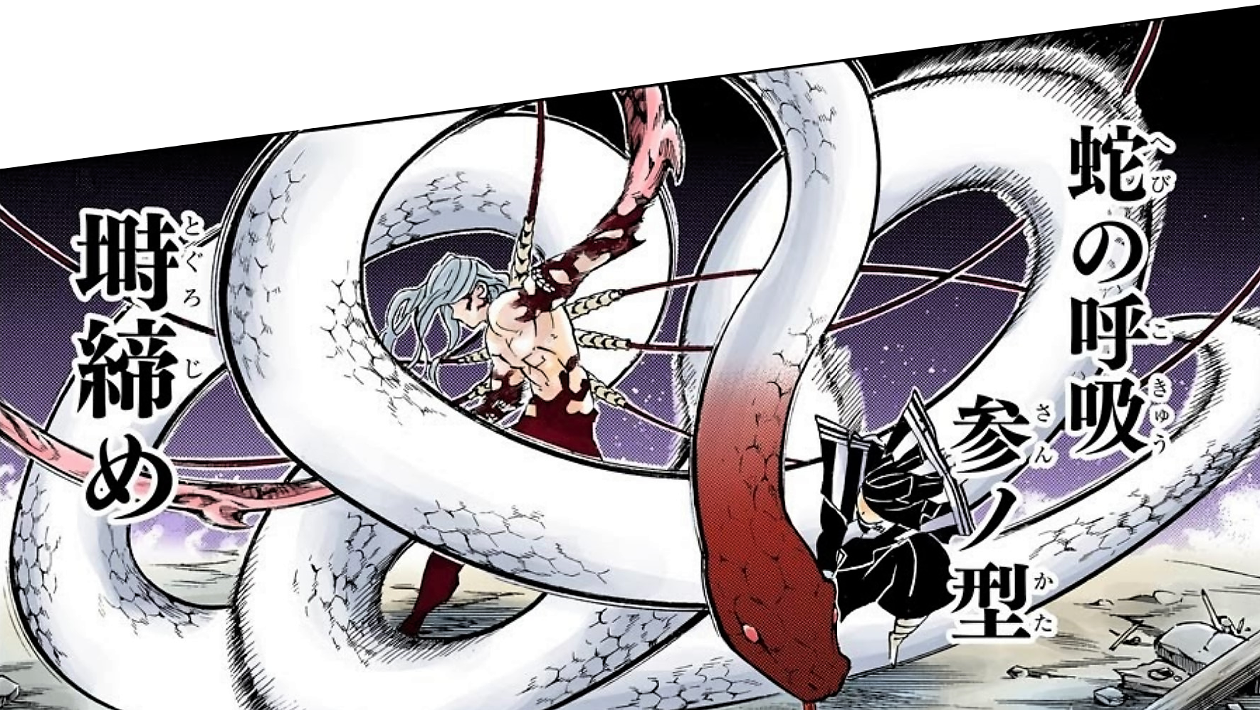 Souffle Du Serpent Demon Slayer Souffle du Serpent | Wiki Kimetsu no Yaiba | Fandom