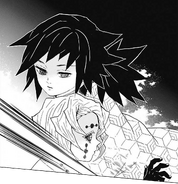Giyu defeats Rui