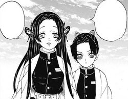 Shinobu Kocho Image Gallery Kimetsu No Yaiba Wikia Fandom