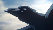 Kaname (Kyojuro's crow)