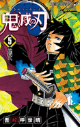 Giyu on the cover of Volume 5.