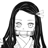 Nezuko profile