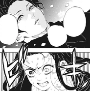 Nezuko's anger at Muzan for killing her family.