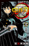 Muichiro en la portada del Volumen 12.