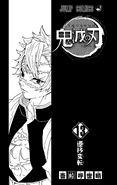 Kimetsu no Yaiba V13 TP