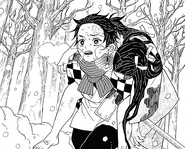 Nezuko carried by Tanjiro after being attacked.