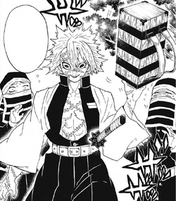Sanemi Shinazugawa Image Gallery Kimetsu No Yaiba Wikia Fandom