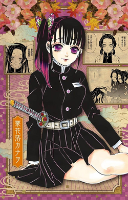 Demon Slayer: Kimetsu no Yaiba Manga Volume 20